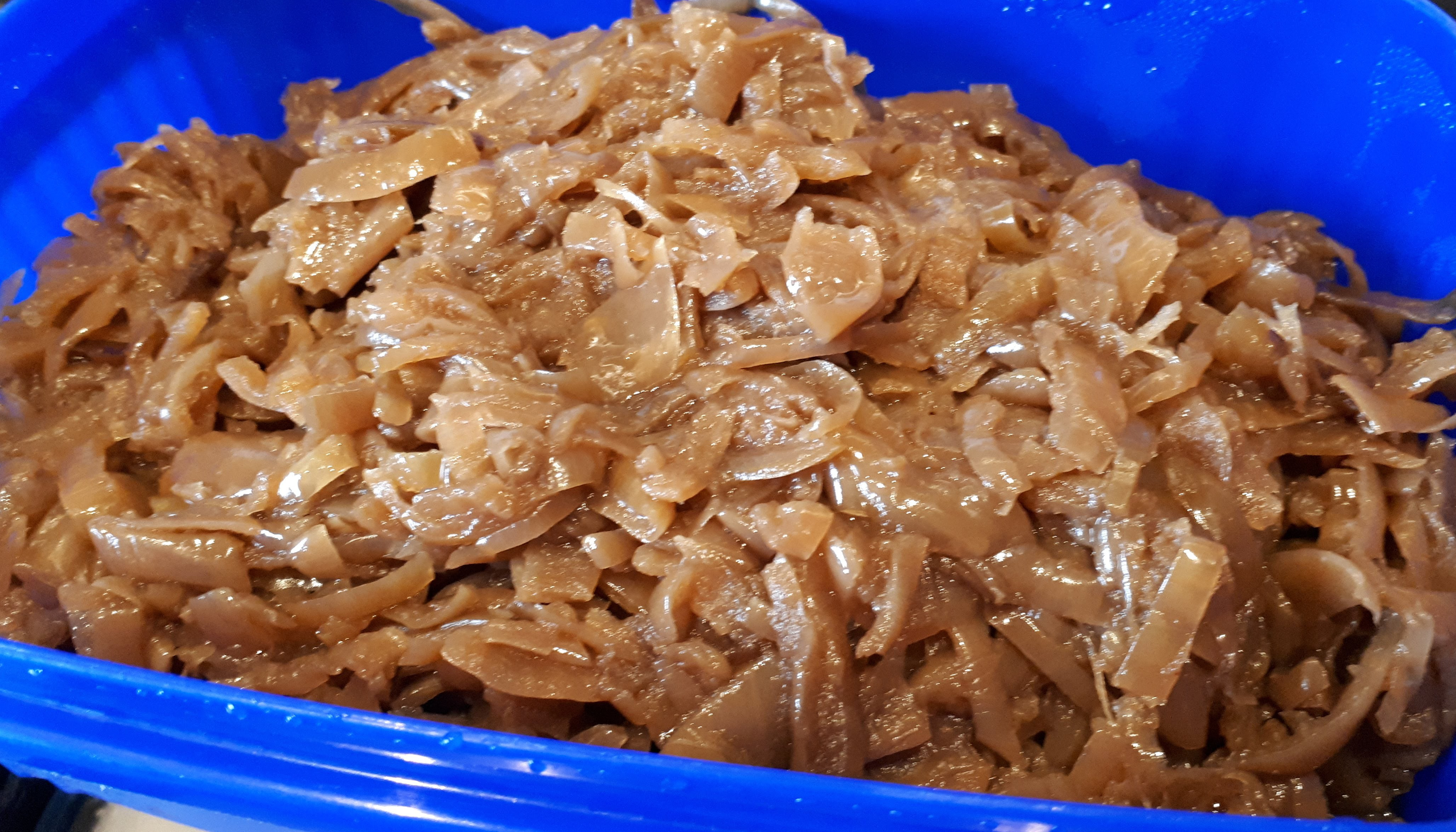 Caramelised Onions in a blue plastic container