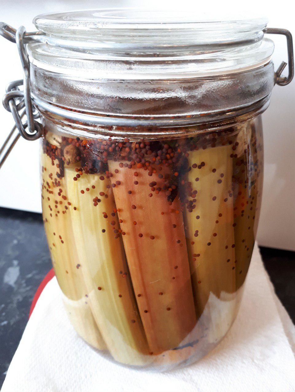 Pickled Rhubarb stalks inside a mason jar filled with pickling brine