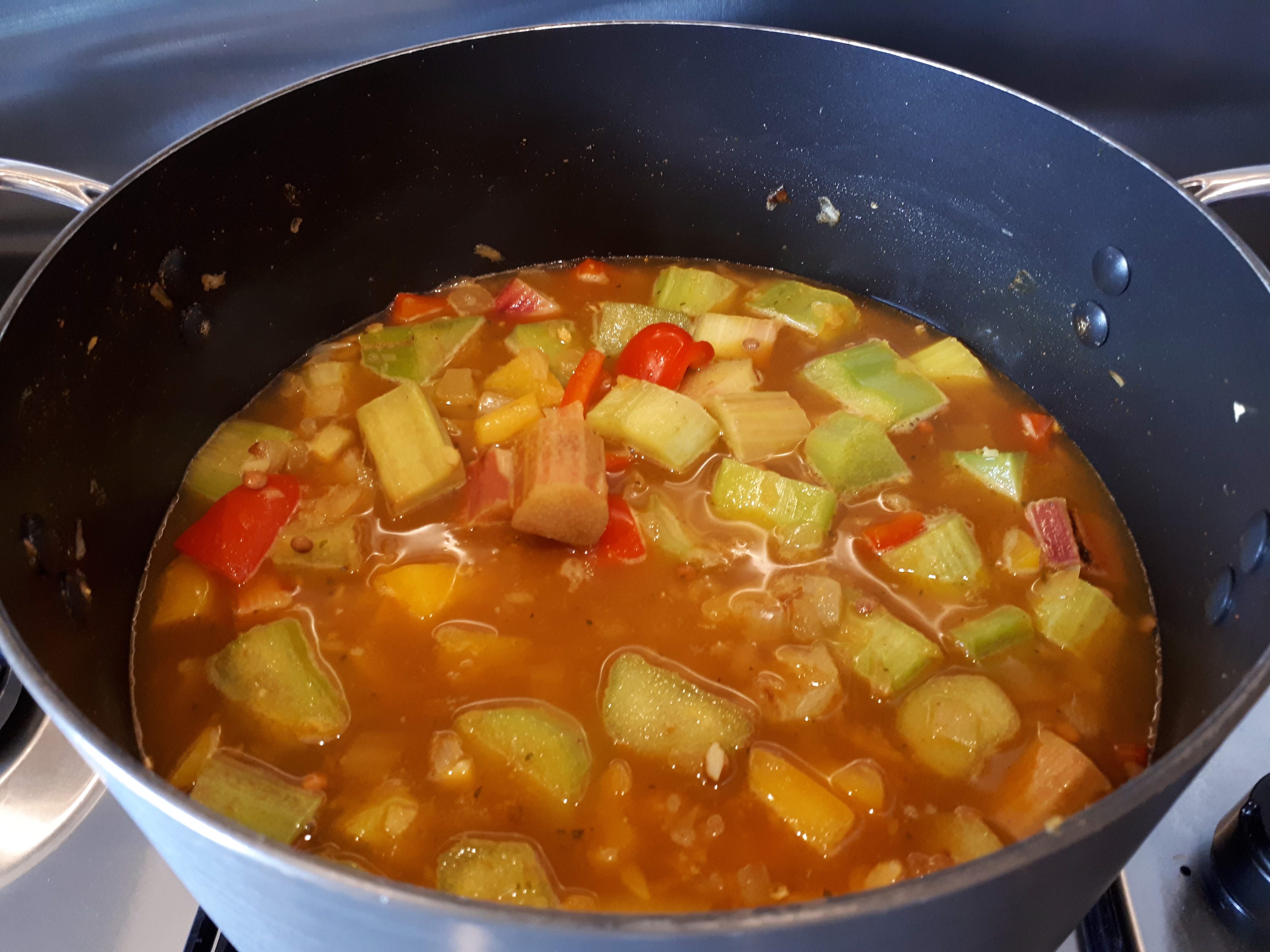 Rhubarb & Lentil Curry